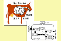 牛のゲップを抑制して温暖化防止…出光興産 画像
