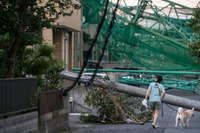 台風15号、車両保険の支払総額は160億円超…日本損害保険協会発表 画像