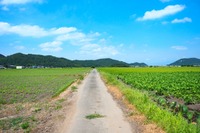 高齢者の移動手段確保するため法改正へ MaaS事業の規制緩和など 画像