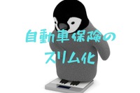 自動車保険のスリム化、どこを見直せば安心かつ節約できるか［マネーの達人］ 画像