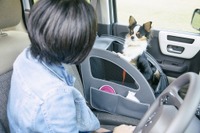 ホンダアクセス、わんにゃんドームに初出展 1月25・26日、名古屋 画像