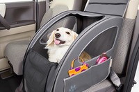 ホンダ、愛犬用アクセサリー装着車両のカーシェアサービス開始 画像