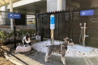 伊丹空港、国内空港初の「愛犬専用トイレ」を設置 画像