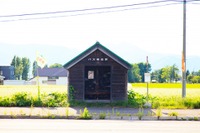 路線バス事業者の合併・共同経営を独禁法の対象外に---人口減少など対応 法案を閣議決定 画像