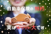 自動車保険は「特約」にこそメリット…少ない出費で大きな補償［マネーの達人］ 画像