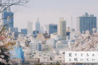 「来年こそ、桜の下で会いましょう」横浜トヨペット、お花見ドライブ動画を公開 画像