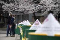 外出を自粛しないのは高齢者? 上野公園お花見行動分析---新型コロナ感染拡大防止 画像