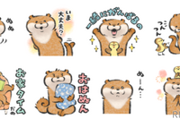 カワウソが「いま大丈夫?」---新型コロナ防止に関連したLINEスタンプを無料配布 画像