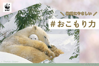 “おこもり”上手な動物を参考に自宅で過ごす…新型コロナ対策［リアニマル］ 画像