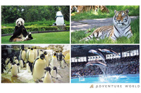 オンライン会議用背景に動物の画像…アドベンチャーワールドが無料配布［リアニマル］ 画像
