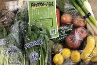 三密を防いでお買い物、「ドライブスルー八百屋」が横浜と川口にオープン 5月2日 画像
