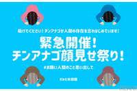 お願い！ すみだ水族館が「チンアナゴ顔見せ祭り」　5月3-5日［リアニマル］ 画像