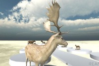 非公開の剥製コレクションをVRとして配信…国立科学博物館［リアニマル］ 画像
