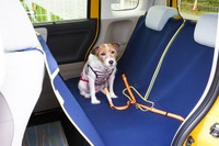 【青山尚暉のわんダフルカーライフ】道路交通法違反にならないために! 正しい愛犬の乗せ方 画像