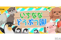 アニマルカフェ7店舗で「いちななどうぶつ園」配信　5月17日［リアニマル］ 画像