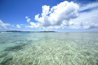 離島に自動運転スローモビリティ導入など…実証調査する地域を公募 国交省 画像