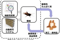 コオロギを食糧に---ジェイテクト、産学連携で資源化を推進 画像