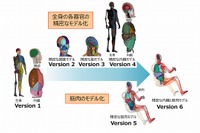 トヨタ、バーチャル人体モデル「サムス」を無償公開へ…クルマの安全性能向上に貢献 画像