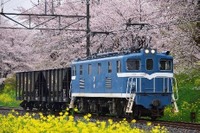 秩父鉄道の貨物専用駅で初イベント…石灰石輸送用貨車20両編成も初入線　10月3・4日 画像