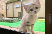 旅好きが選ぶ！ 動物園・水族館ランキング2020［リアニマル］ 画像