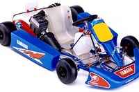 明日のシューマッハーを目指す諸君!! F1への登竜門はやっぱりコレだ 画像