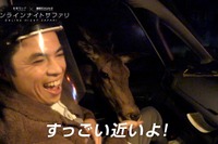 小島よしお、セレナe-POWERからキリンや象に餌やり…ナイトサファリ［動画］ 画像