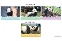 「ありがとうシャンシャン」東京メトロ24時間券…パンダ中国返還 10月28日発売 画像