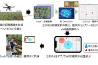 ブリヂストンなど、「パラゴムノキ」の高精度病害診断技術を開発 天然ゴム安定供給へ 画像