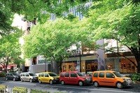 ルノー カングー、色彩豊かな5色の限定車「パナシェ」発売 画像