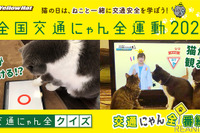 猫にレクチャー？「交通にゃん全クイズ」猫参加型の安全キャンペーン 画像