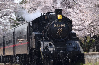 真岡鐡道のSL列車、3月13日に自粛解除…6・7月は車両検査で運休に 画像