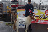 ミニチュアポニーが1日駅長…京急の“馬”堀海岸駅 画像