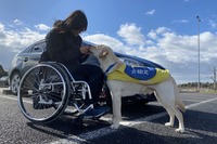 JAF×日本介助犬協会、思いやりある交通社会をめざしクラウドファンディング 画像