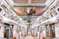 動物園の人気者たちが電車をジャック！ 「深い癒やしトレイン」走行中 画像