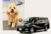 愛犬も車内に、運転手付専用車のサービスを開始…アルファードのリムジン 画像