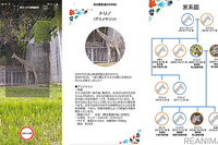 スマホのカメラで動物個体を識別、性格や家系図がわかる「one zooスコープ」 画像