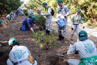 ジャパンエナジー、新潟県で植林ボランティア 画像