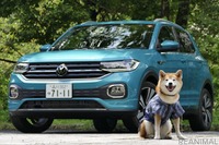 【柴犬ハルの気になるクルマ】VW Tクロスに新調したソフトクレートを載せてみた 画像