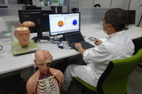 【ホンダ安全チャレンジの最前線】2050年事故死者ゼロへ…脳障害を解析し、歩行者の命を守るエアバッグ 画像