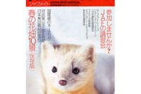 逆転の発想が生んだ事故防止策「センターラインを消す」 画像