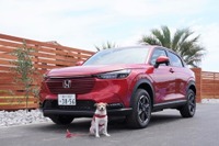 【青山尚暉のわんダフルカーライフ】今夏オープンの愛犬と泊まれる宿3軒とハイブリッド車愛犬乗車時の盲点 画像