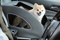 ホンダ、愛犬用アクセサリー装着車を展示予定…アウトドアドッグフェスタ in 八ヶ岳 画像