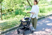 車の座席に取り付けやすいペット用カート「PGカート ドライブシステム」 画像
