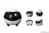 自走式ペット見守りロボット…トレードワークス『イーボSE』発売 画像