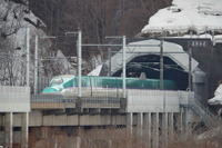 北海道新幹線初、シカが線路に侵入 始発から運行見合せが続く 画像
