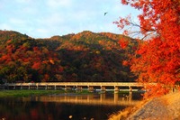 北日本は本格的な紅葉シーズンへ…ウェザーニューズ「見頃予想」を発表 画像