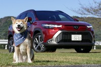 【柴犬ハルの気になるクルマ】トヨタ カローラクロス は実用的な機能が備わるSUV 画像