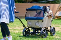 アウトドアペットワゴン---小型犬の多頭飼いや中型犬向けの大型ワゴン 画像