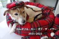 【青山尚暉のわんダフルカーライフ】2021年 わんダフルカー・オブ・ザ・イヤー、“今年の1台”とコンパクトカー部門は? 画像