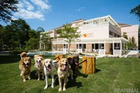 愛犬と泊まれるホテル1位は?…「愛犬と一緒に過ごせる場所の範囲」が選ぶ時のポイント 画像